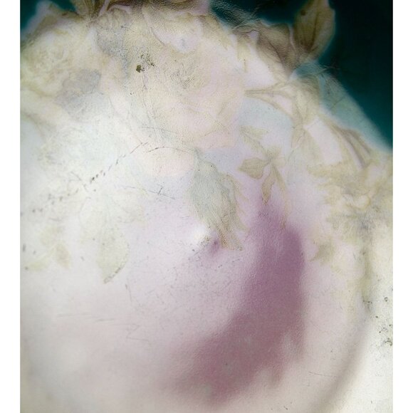 Hermann Ohme Silesia Hand Painted Dessert Plate Roses 6.25 inches - Picture 7 of 7